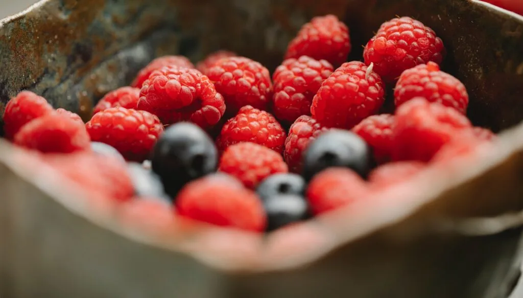 High Fat Low Protein Foods