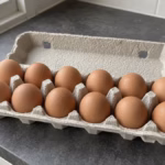 Open carton of twelve brown eggs on a kitchen counter